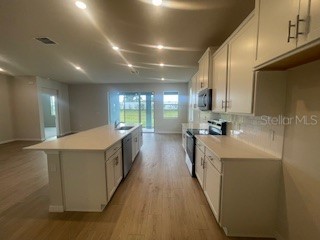 18244 Beach Ranch Terrace Lakewood Ranch FL 34211 A4669626 image3