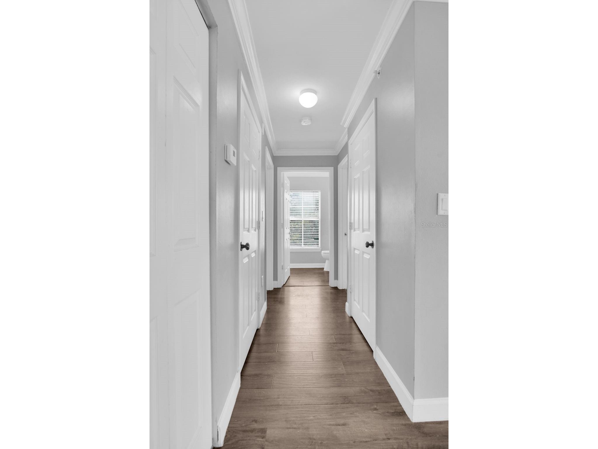 18245 Bridle Club Drive #18245 Tampa FL 33647 TB8511725 image13
