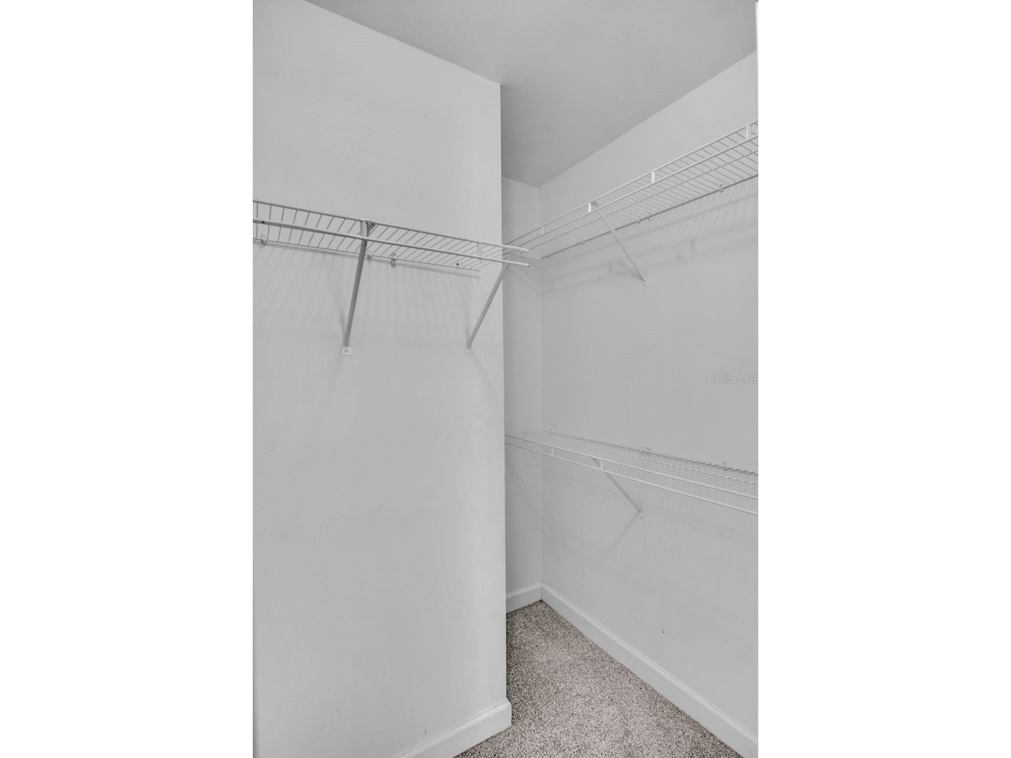18245 Bridle Club Drive #18245 Tampa FL 33647 TB8511725 image25