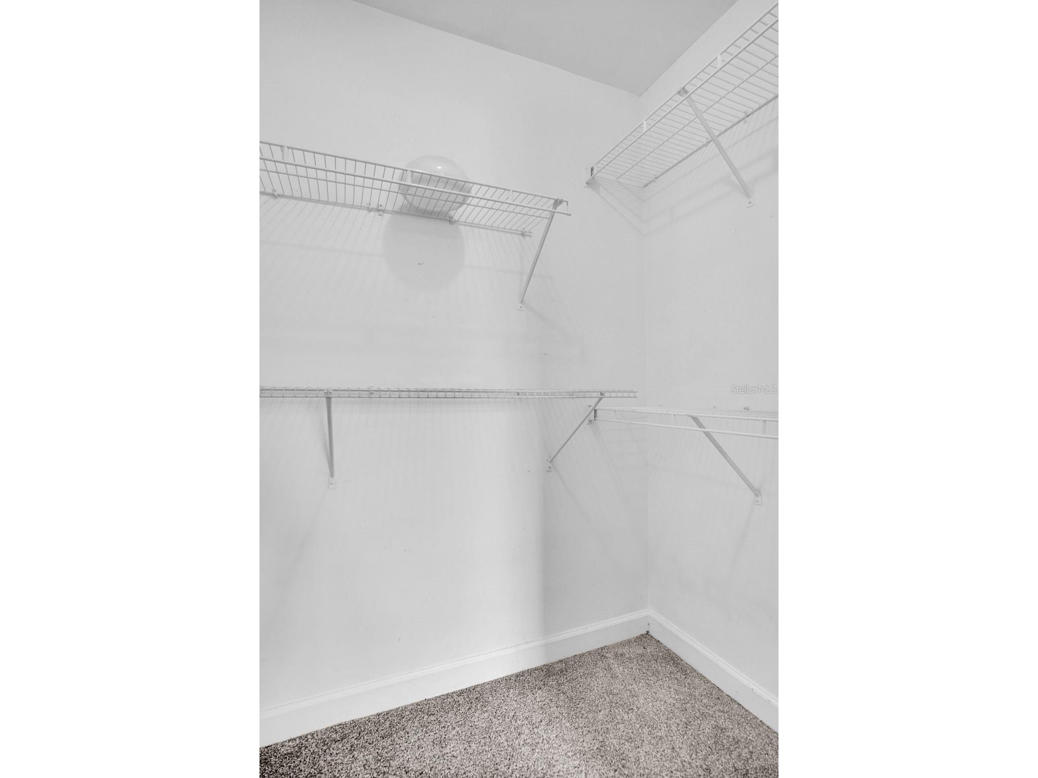 18245 Bridle Club Drive #18245 Tampa FL 33647 TB8511725 image28