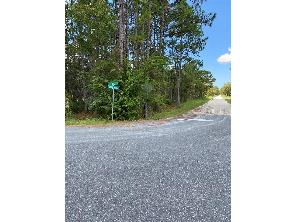 18245 Maberly Road Weeki Wachee FL 34614 T3470953 image1