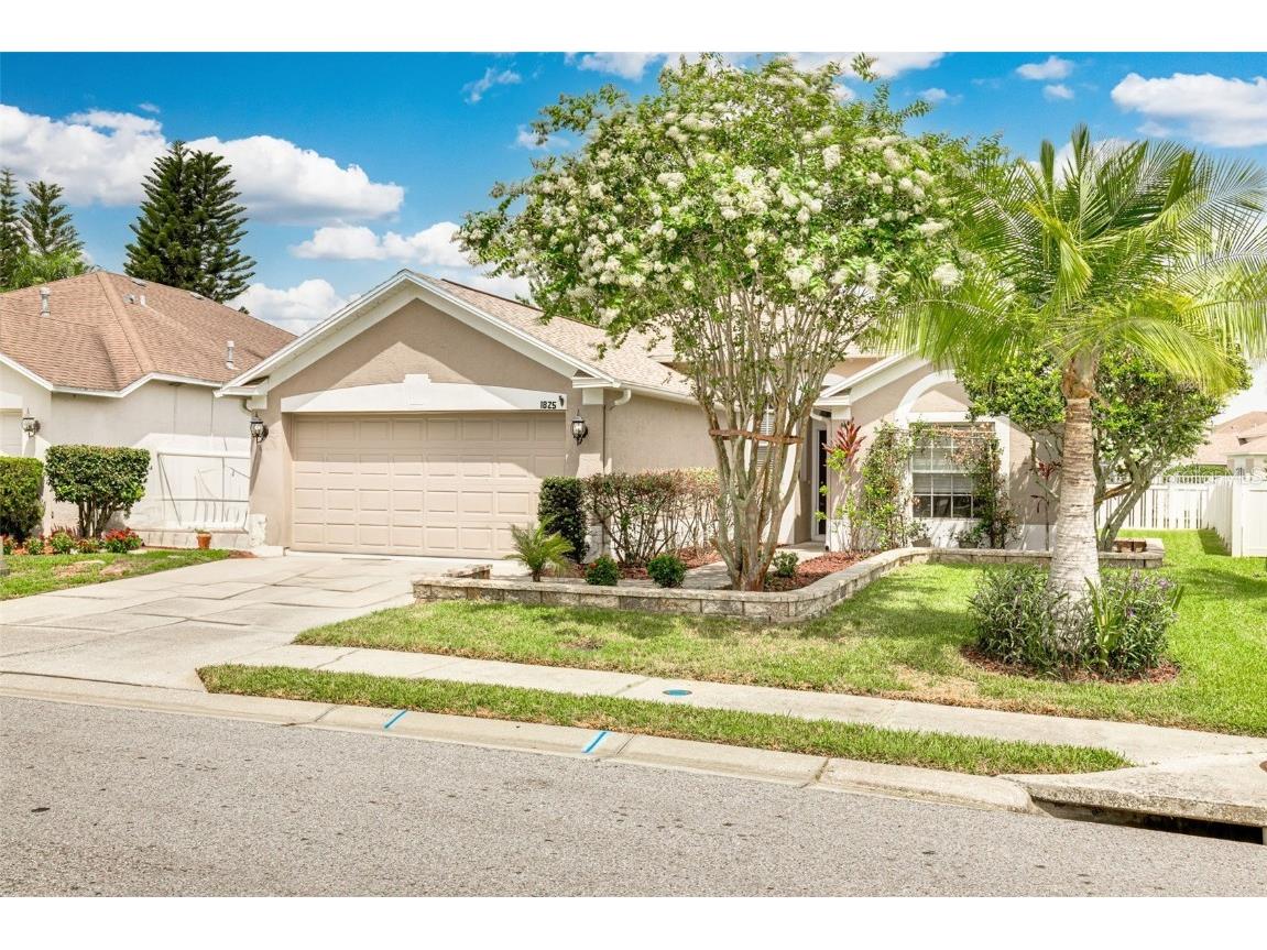 1825 Alvara Place Trinity FL 34655 U8206255 image1