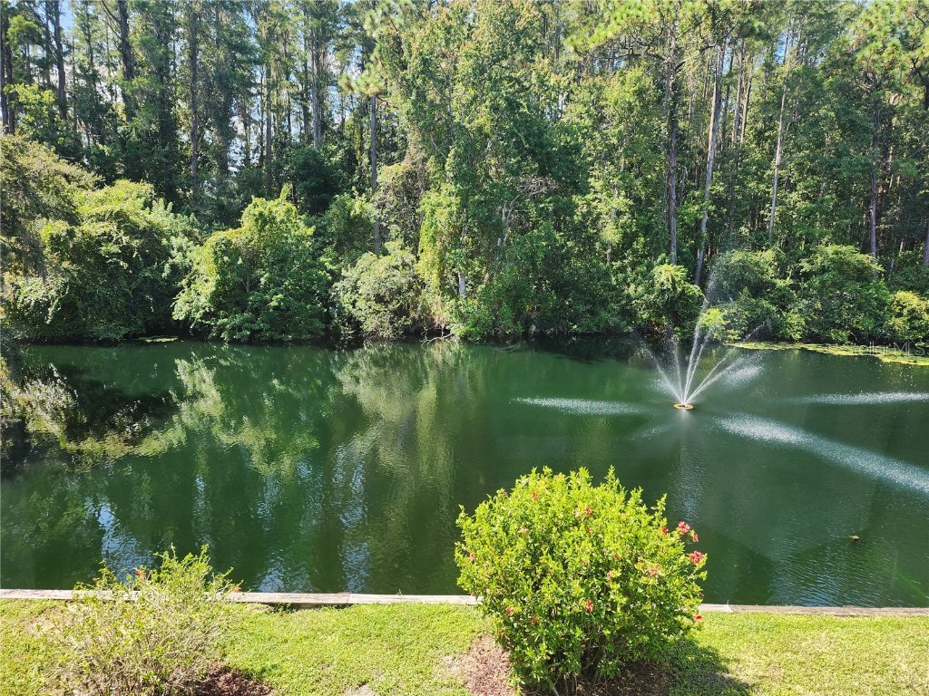 1825 Mazo Mnr #V10 Lutz FL 33558 U8213112 image1