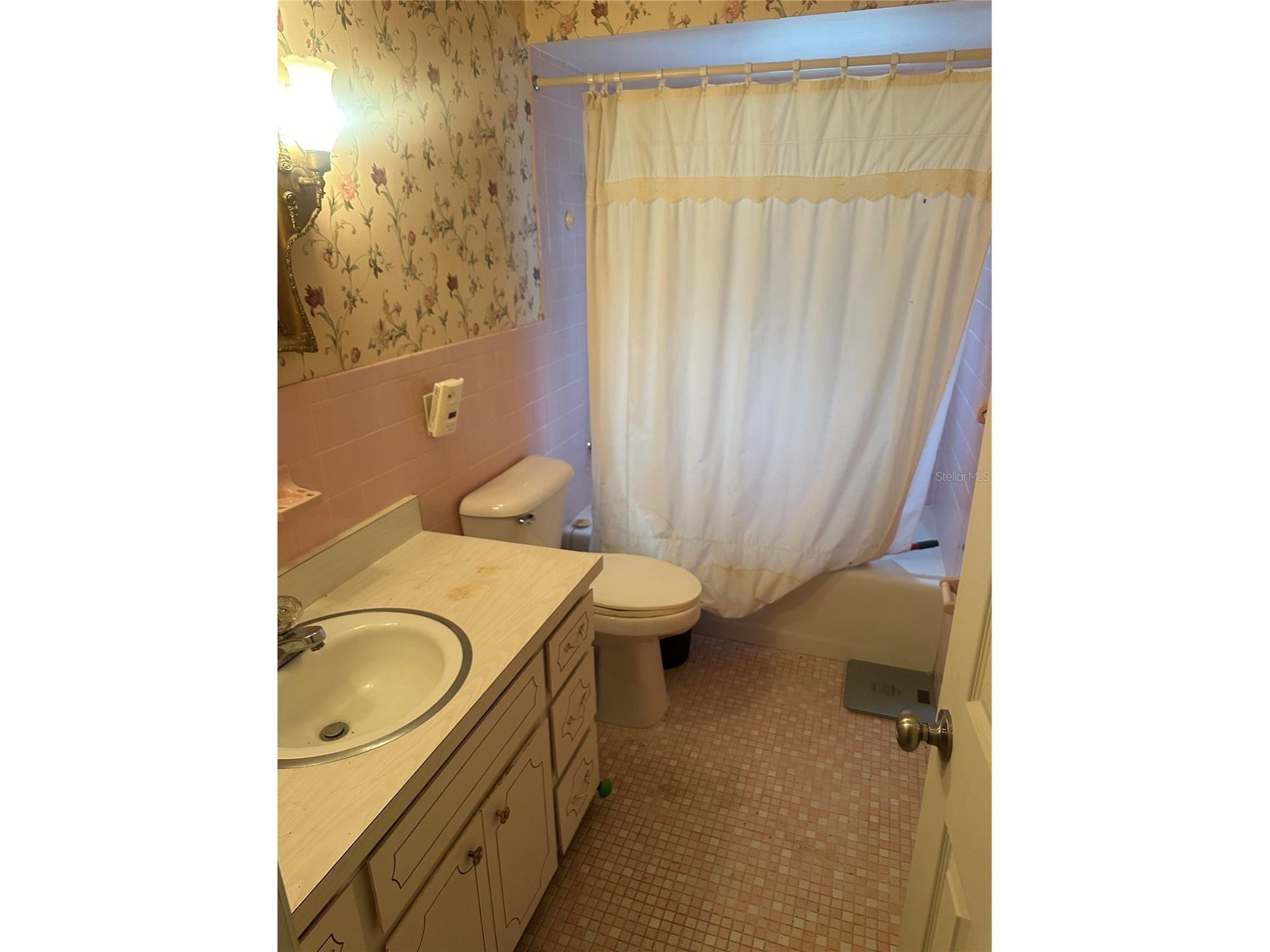 1825 Normandy Drive Mount Dora FL 32757 O6397701 image6