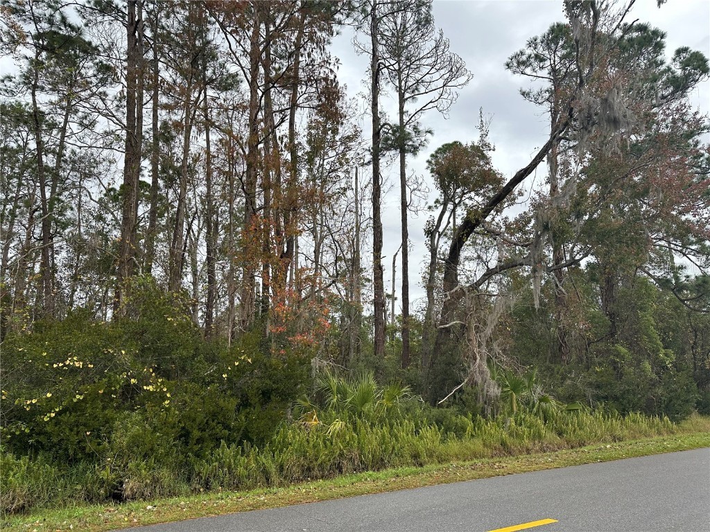 1825 Old Daytona Road Deland FL 32724 V4933707 image1