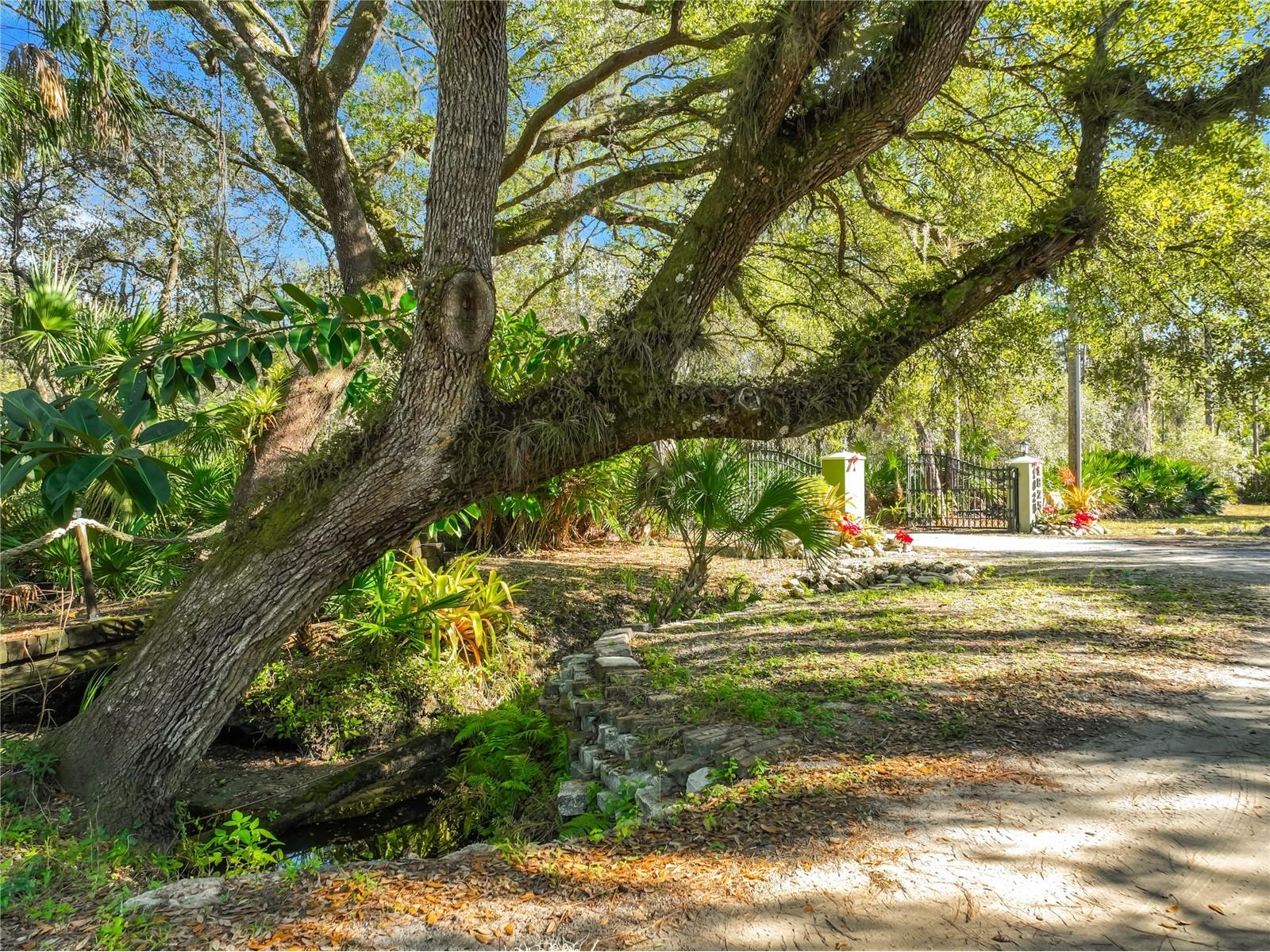 1825 Pams Way Geneva FL 32732 O6377868 image46