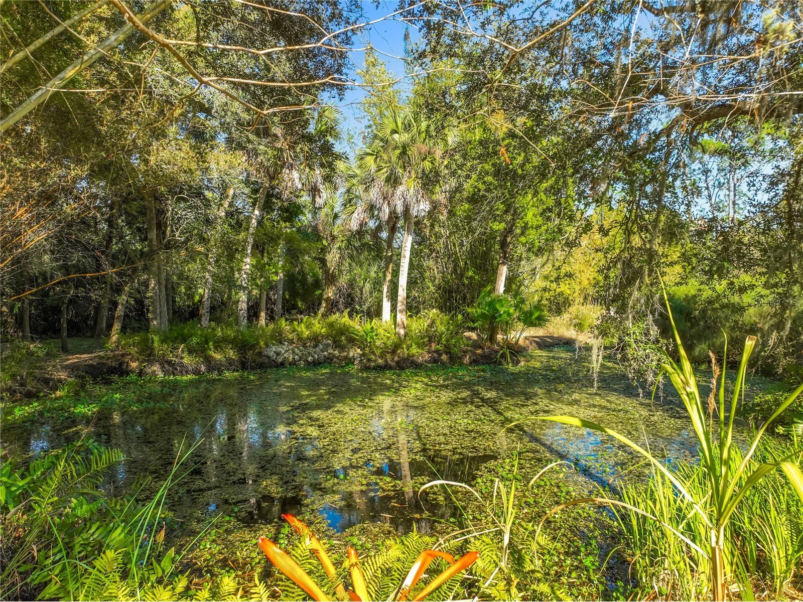 1825 Pams Way Geneva FL 32732 O6377868 image51