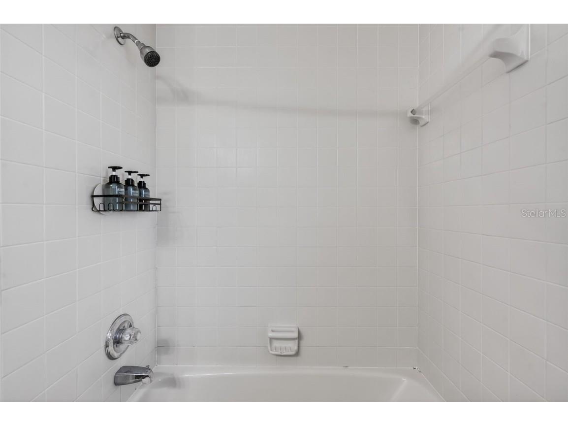 1825 Streetman Drive Lithia FL 33547 TB8440845 image46