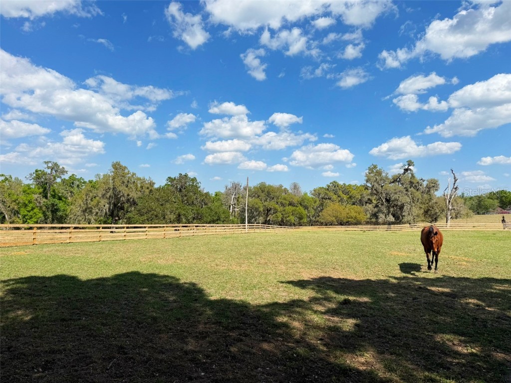 1825 Streetman Drive Lithia FL 33547 TB8440845 image66