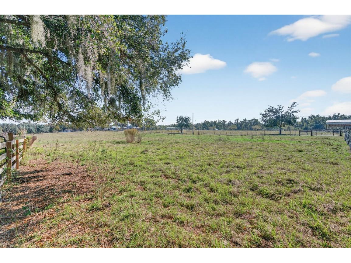 1825 Streetman Drive Lithia FL 33547 TB8440845 image67