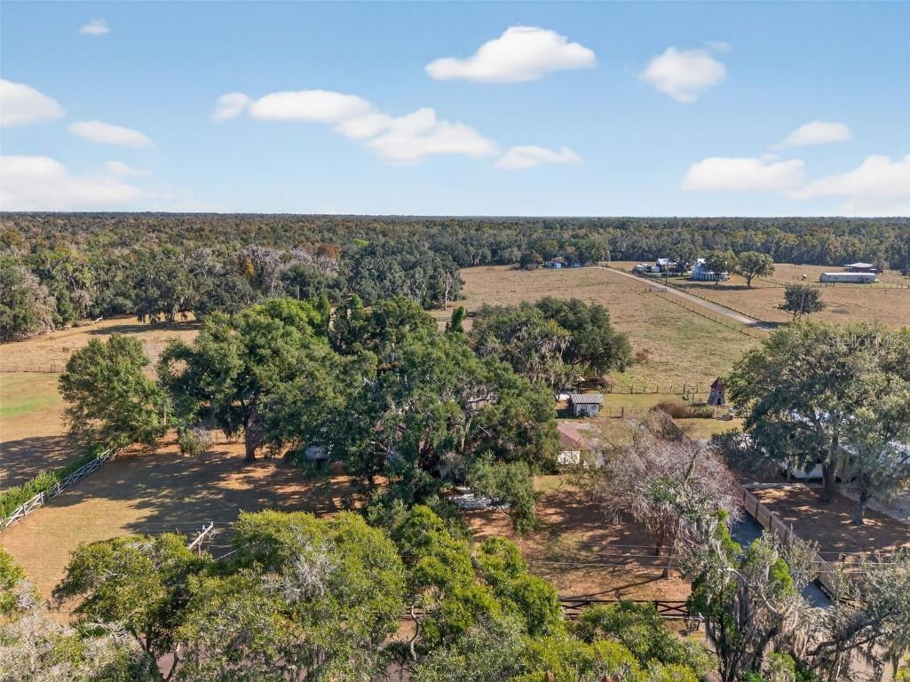 1825 Streetman Drive Lithia FL 33547 TB8440845 image74