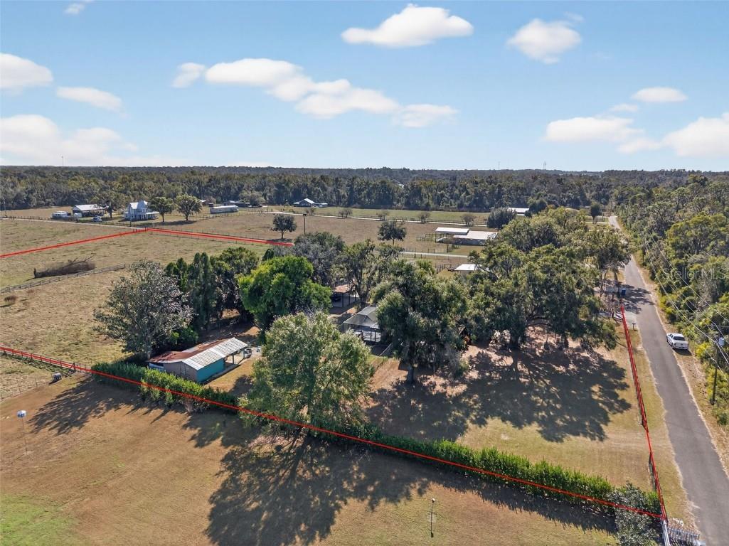 1825 Streetman Drive Lithia FL 33547 TB8440845 image75