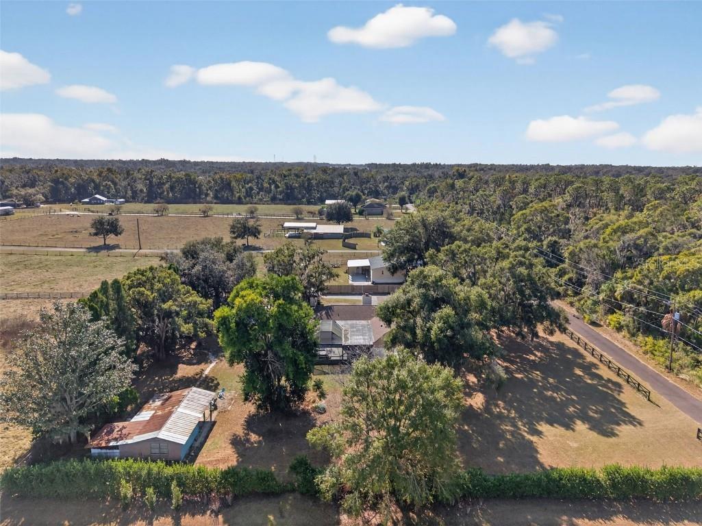 1825 Streetman Drive Lithia FL 33547 TB8440845 image76