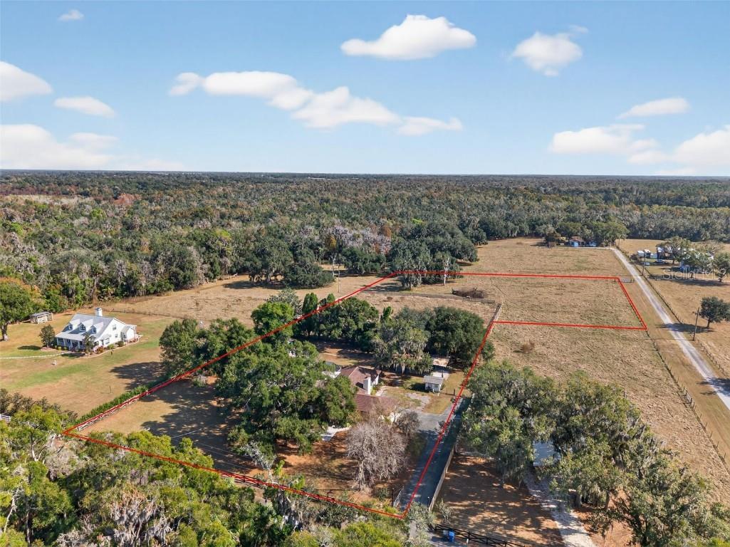 1825 Streetman Drive Lithia FL 33547 TB8440845 image79