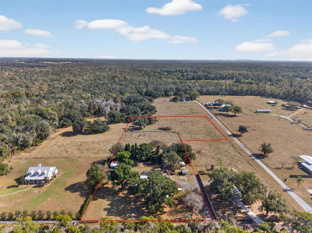 1825 Streetman Drive Lithia FL 33547 TB8440845 image81