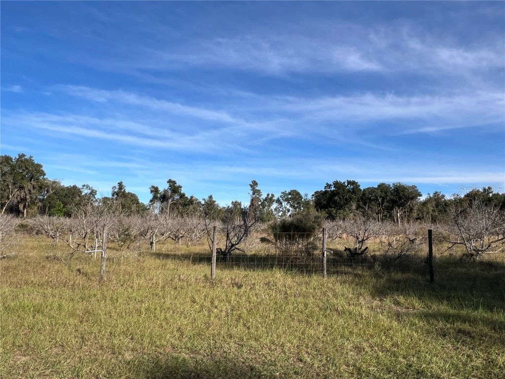 18250 Ravenswood Road Altoona FL 32702 G5105562 image13