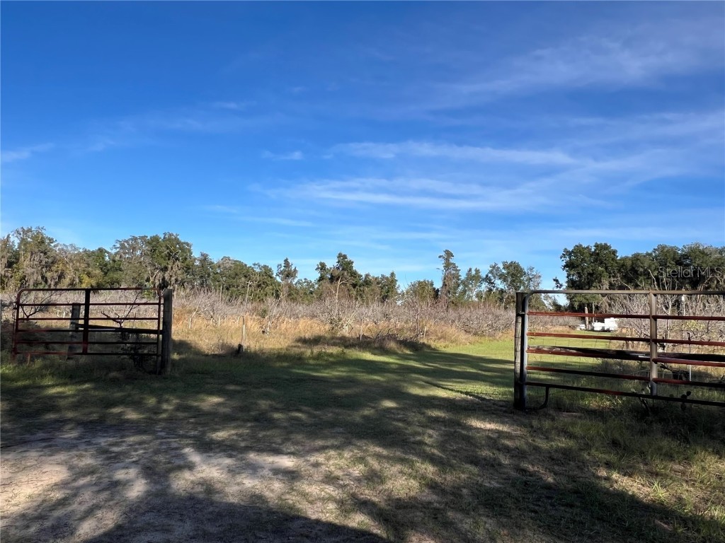 18250 Ravenswood Road Altoona FL 32702 G5105562 image15