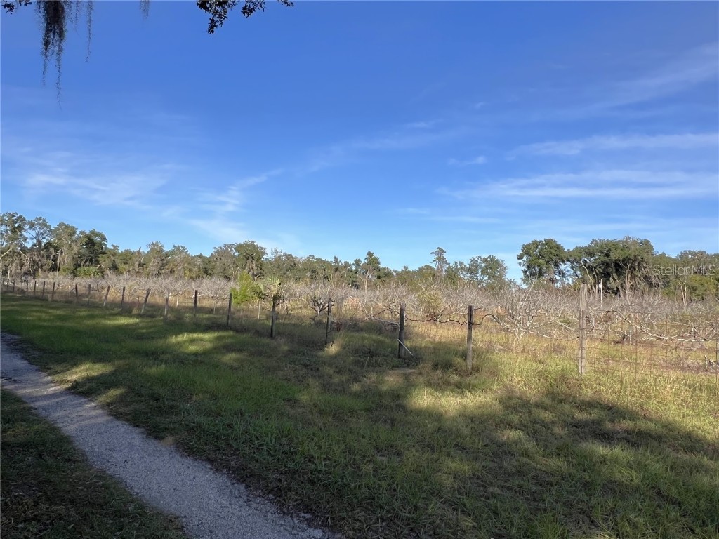 18250 Ravenswood Road Altoona FL 32702 G5105562 image16