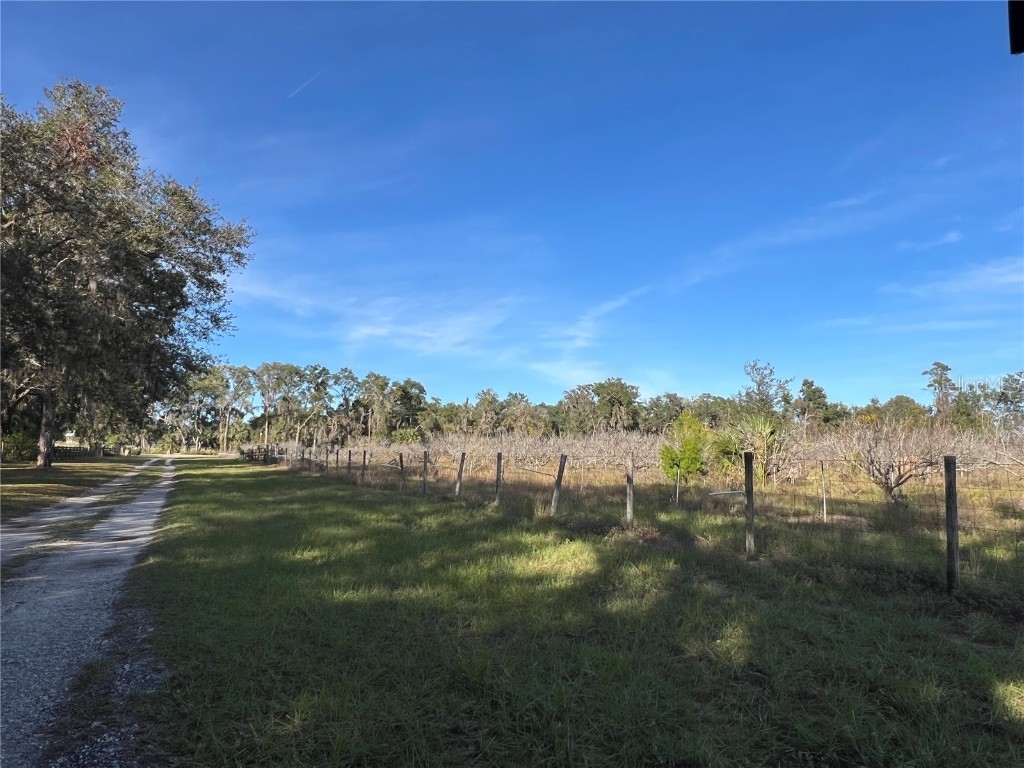 18250 Ravenswood Road Altoona FL 32702 G5105562 image17