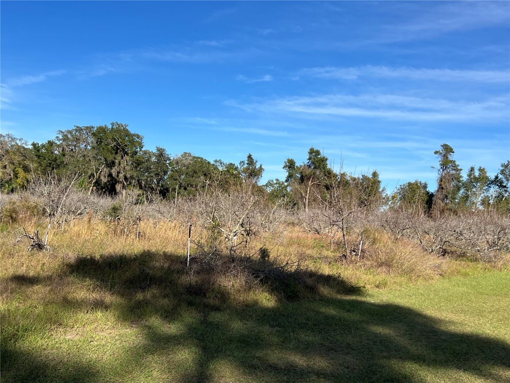 18250 Ravenswood Road Altoona FL 32702 G5105562 image18