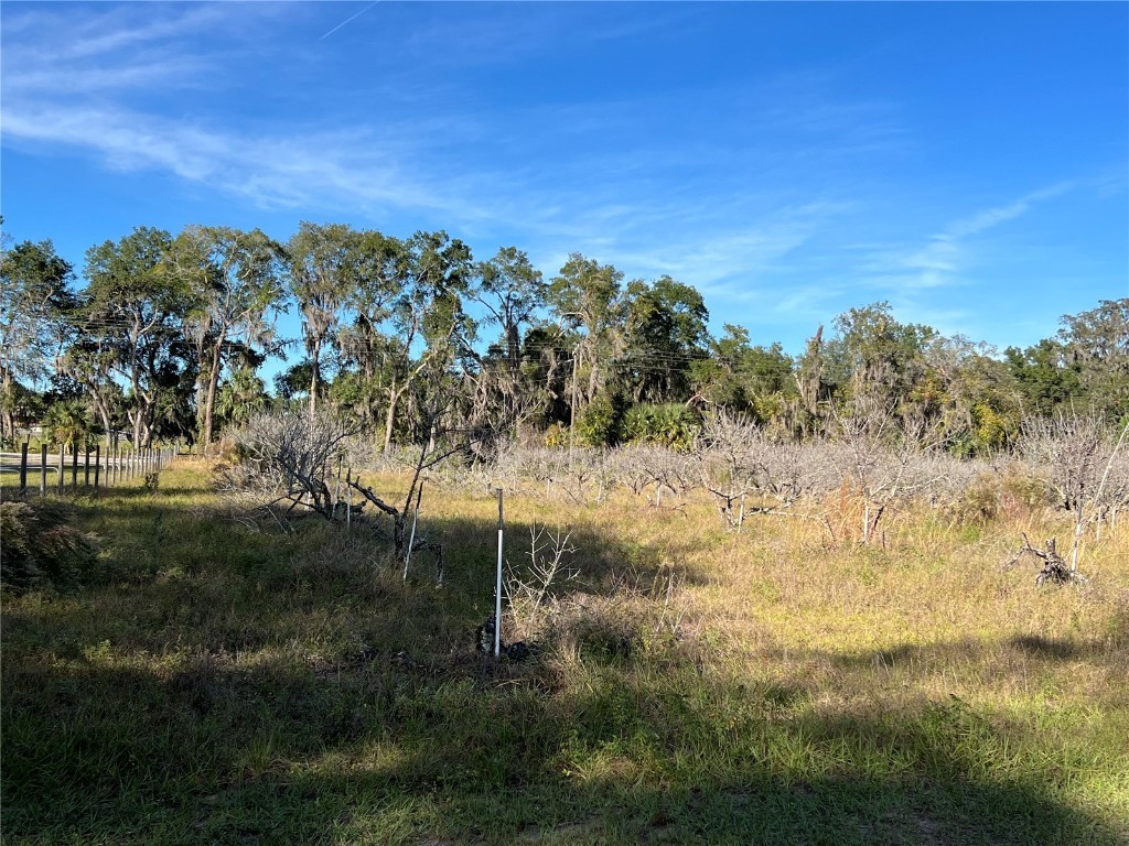 18250 Ravenswood Road Altoona FL 32702 G5105562 image19