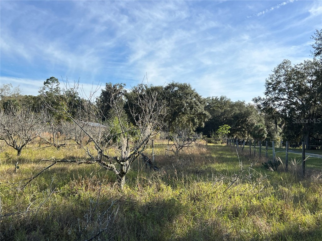 18250 Ravenswood Road Altoona FL 32702 G5105562 image20