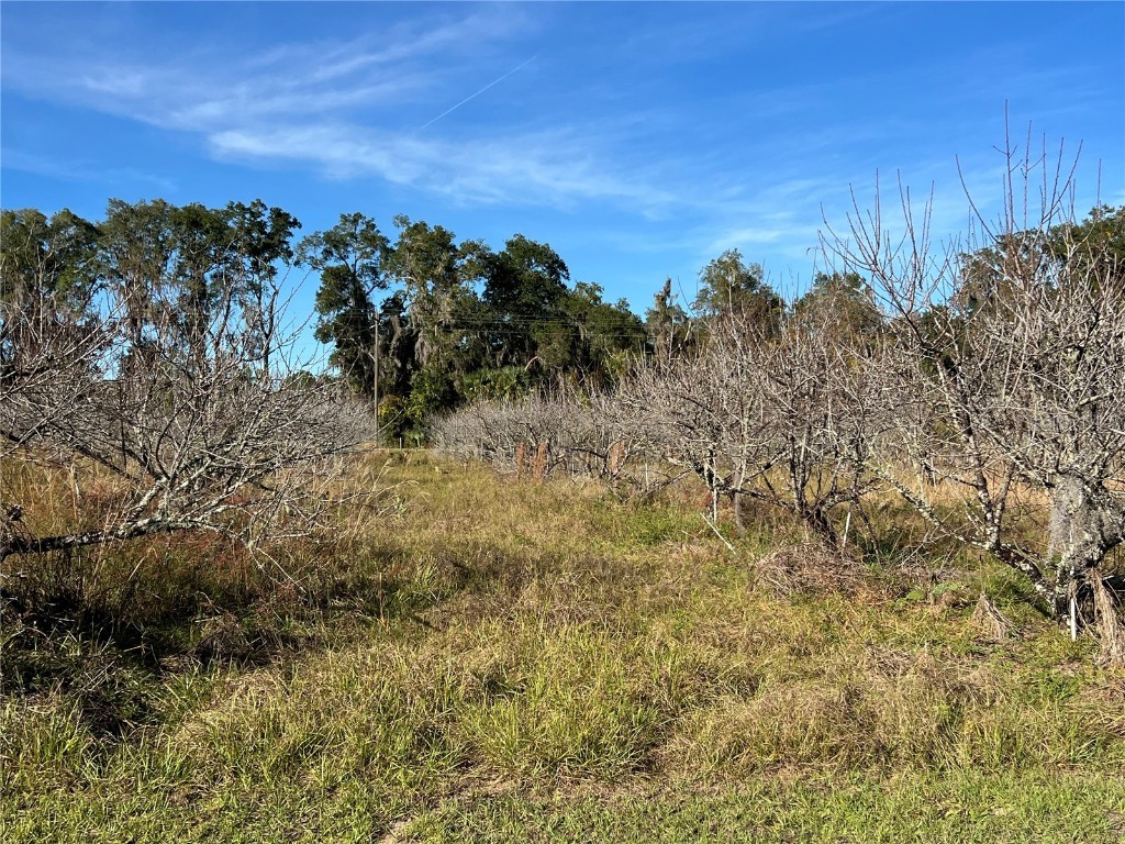 18250 Ravenswood Road Altoona FL 32702 G5105562 image22