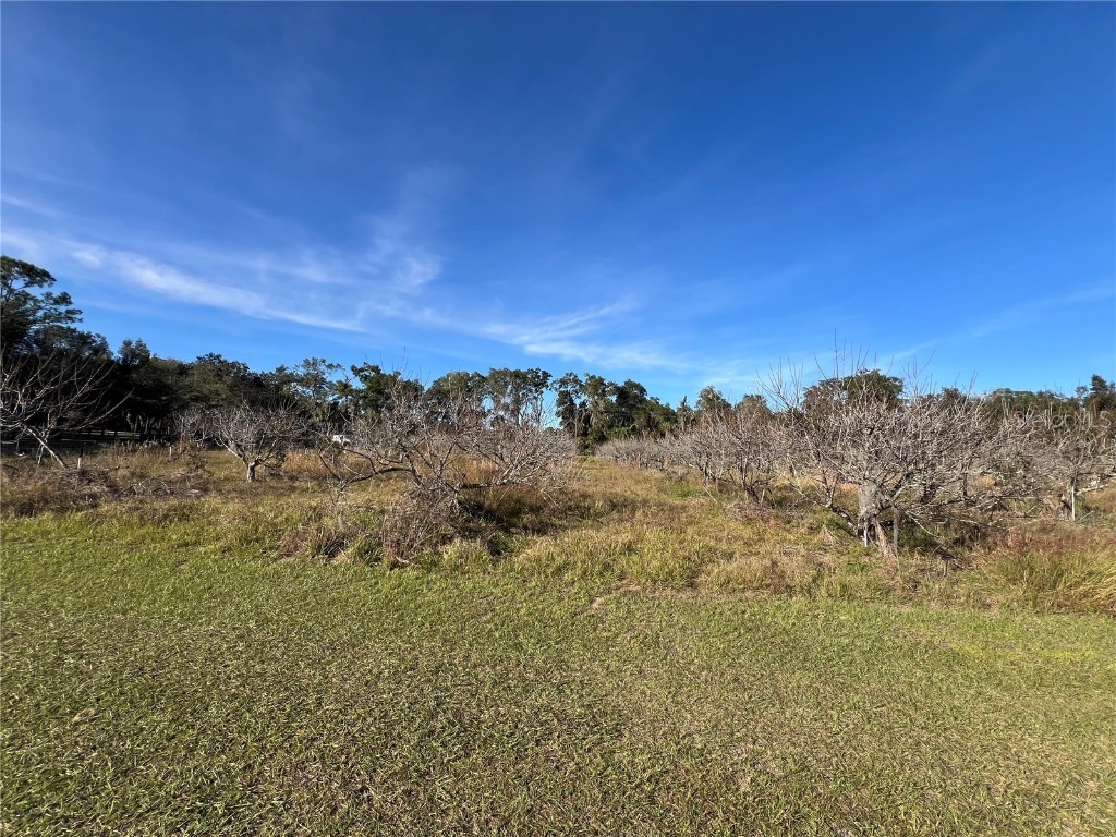 18250 Ravenswood Road Altoona FL 32702 G5105562 image23