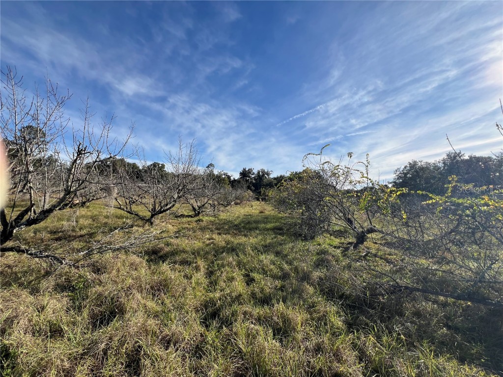 18250 Ravenswood Road Altoona FL 32702 G5105562 image24