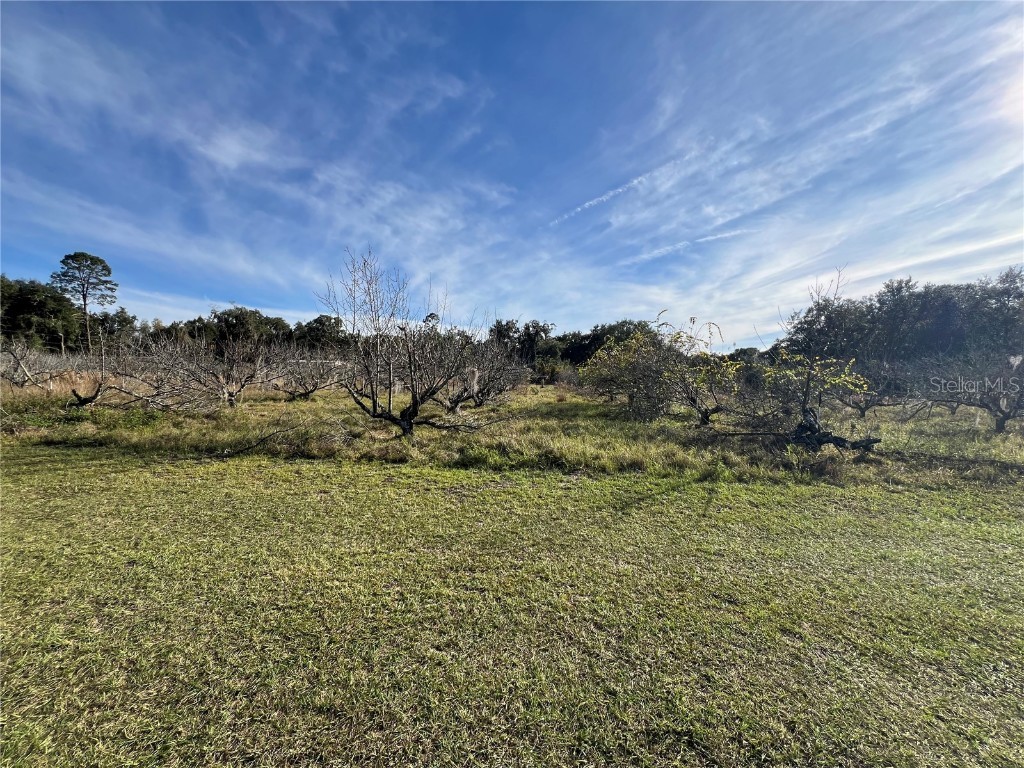 18250 Ravenswood Road Altoona FL 32702 G5105562 image25