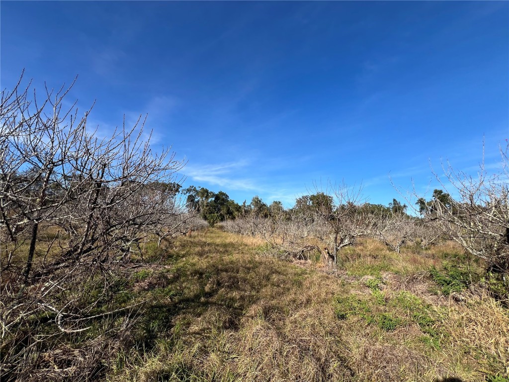 18250 Ravenswood Road Altoona FL 32702 G5105562 image26