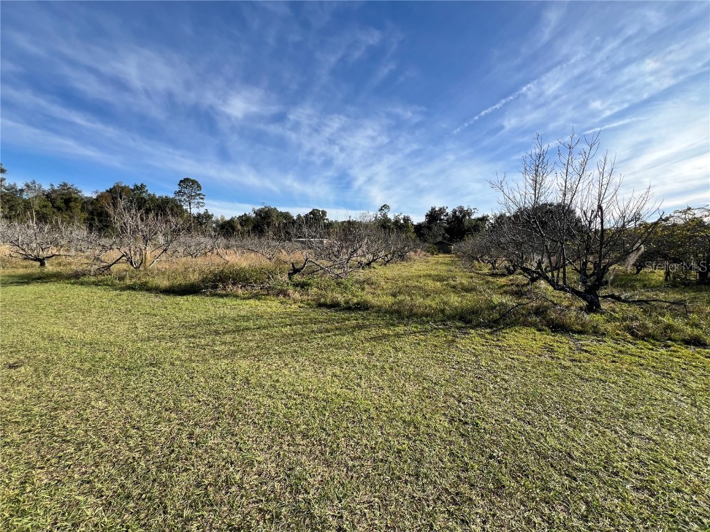 18250 Ravenswood Road Altoona FL 32702 G5105562 image27