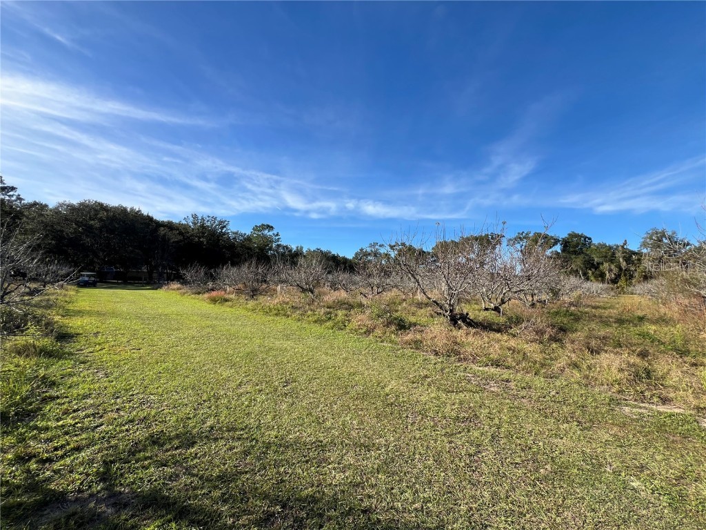 18250 Ravenswood Road Altoona FL 32702 G5105562 image29