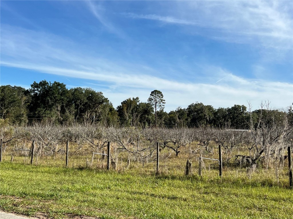 18250 Ravenswood Road Altoona FL 32702 G5105562 image3