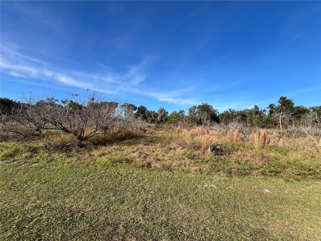 18250 Ravenswood Road Altoona FL 32702 G5105562 image30