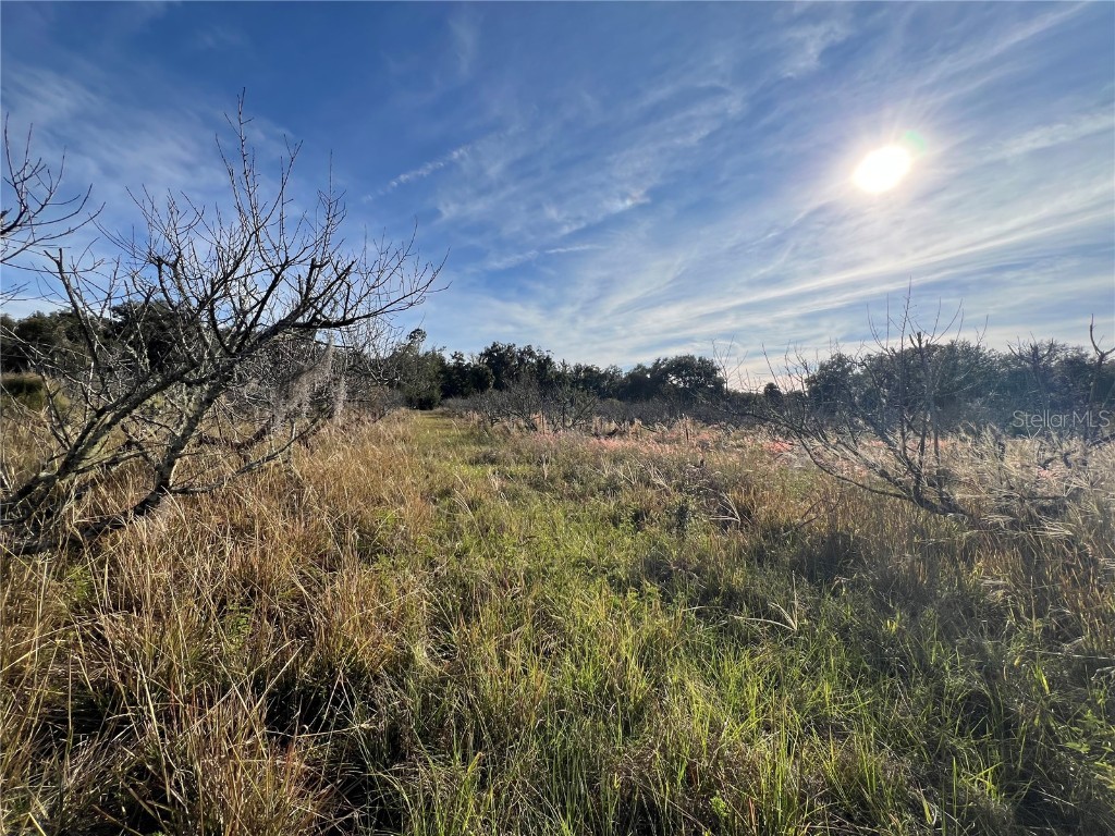 18250 Ravenswood Road Altoona FL 32702 G5105562 image31