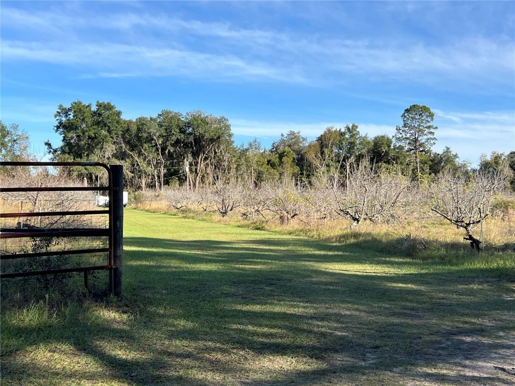 18250 Ravenswood Road Altoona FL 32702 G5105562 image32