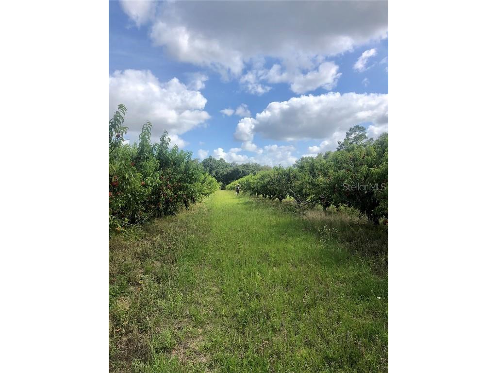 18250 Ravenswood Road Altoona FL 32702 G5105562 image40