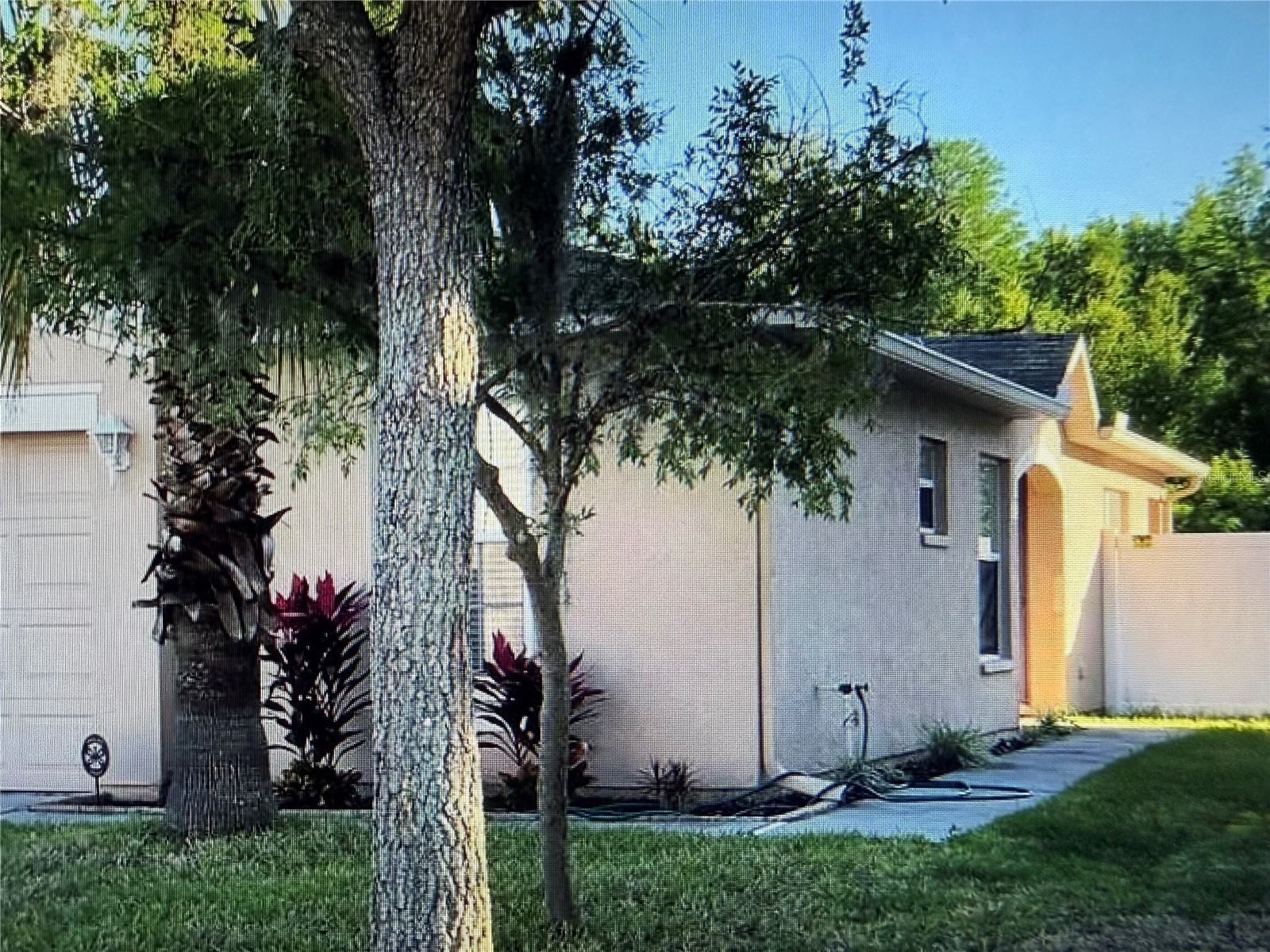 18250 Snowdonia Drive Land O Lakes FL 34638 TB8529733 image1