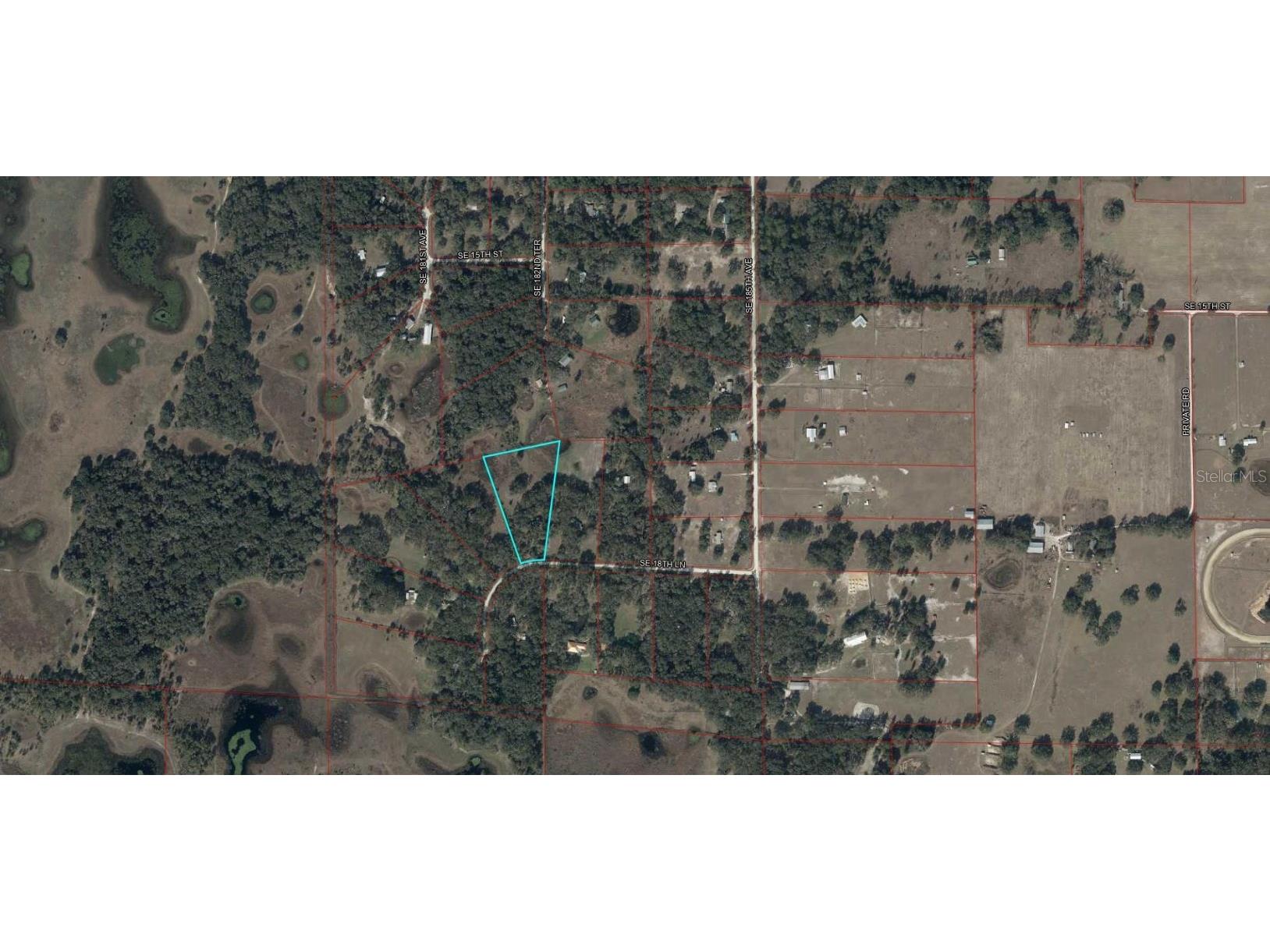 18251 SE 18th Lane Williston FL 32696 OM715929 image16