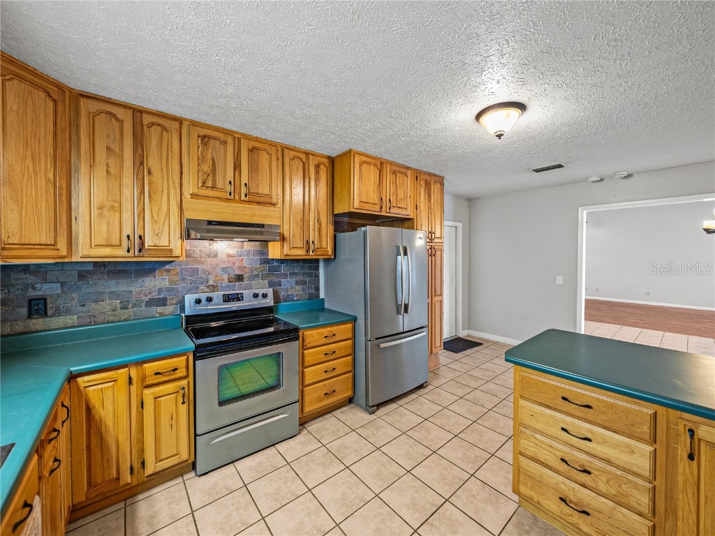 18253 Townsend House Road Dade City FL 33523 - Hancock Lake TB8425591 image27