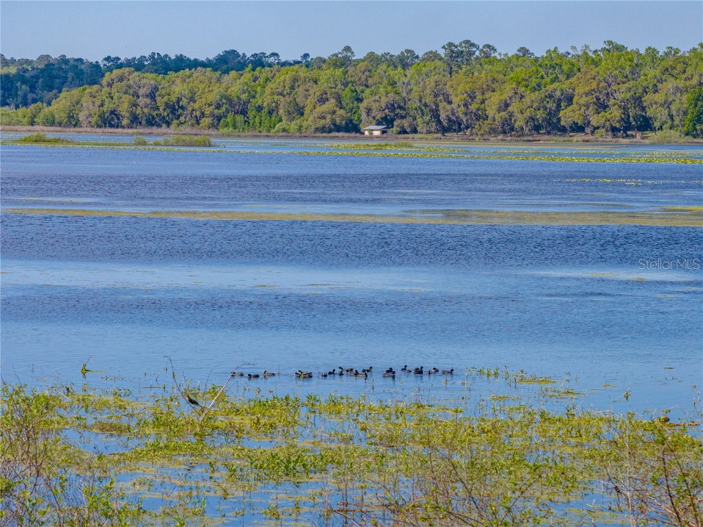 18253 Townsend House Road Dade City FL 33523 - Hancock Lake TB8425591 image69