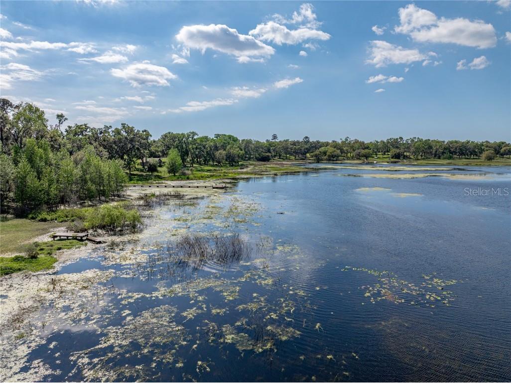 18253 Townsend House Road Dade City FL 33523 - Hancock Lake TB8425591 image70