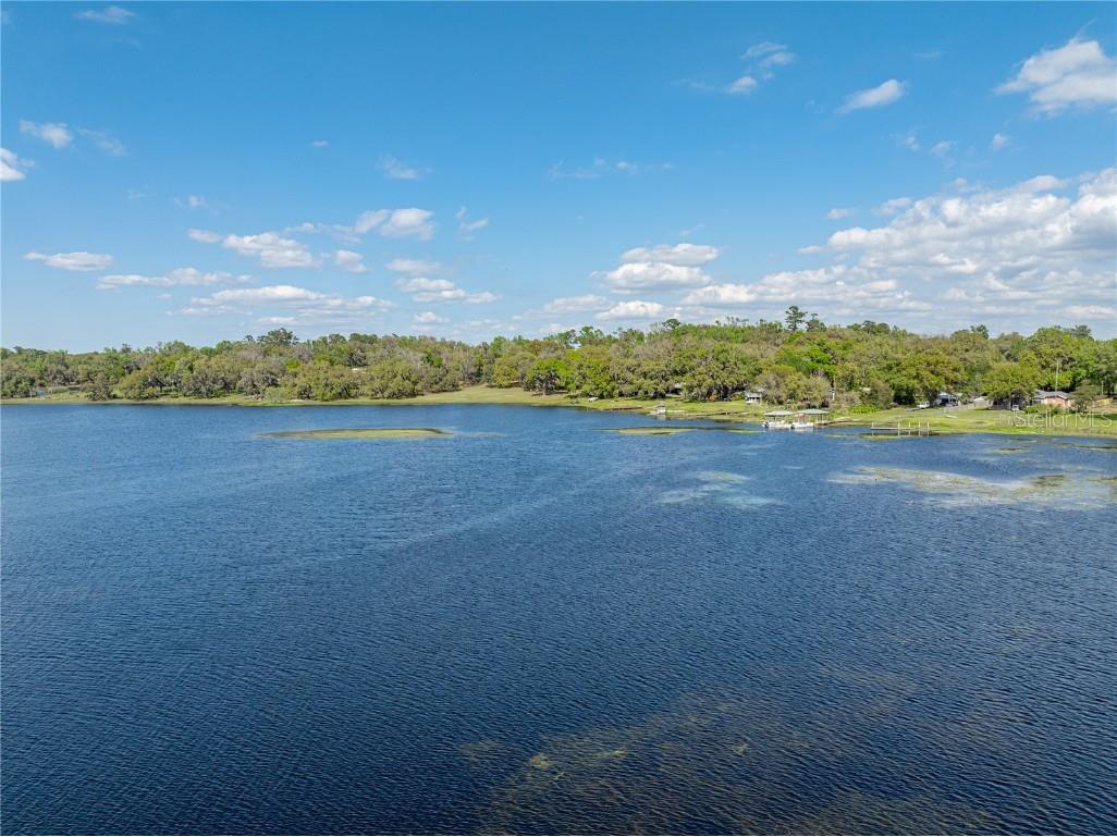 18253 Townsend House Road Dade City FL 33523 - Hancock Lake TB8425591 image72