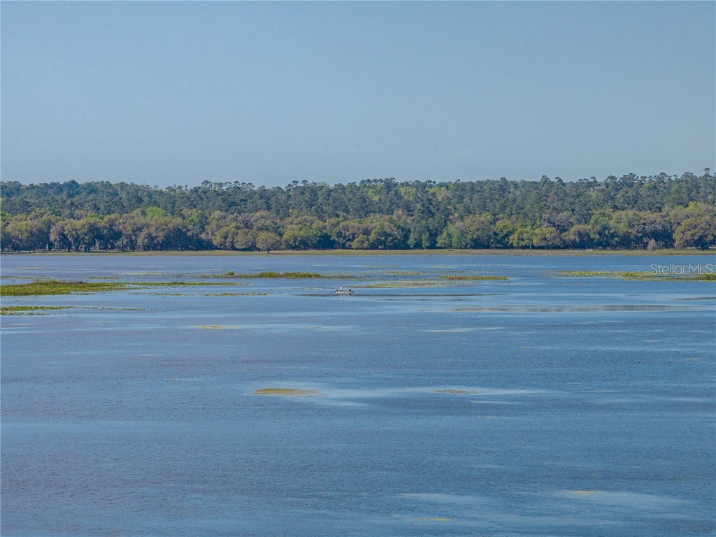 18253 Townsend House Road Dade City FL 33523 - Hancock Lake TB8425591 image73