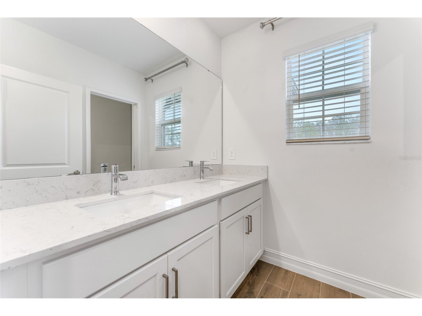 18255 Serene Lake Loop Lutz FL 33548 TB8505871 image25
