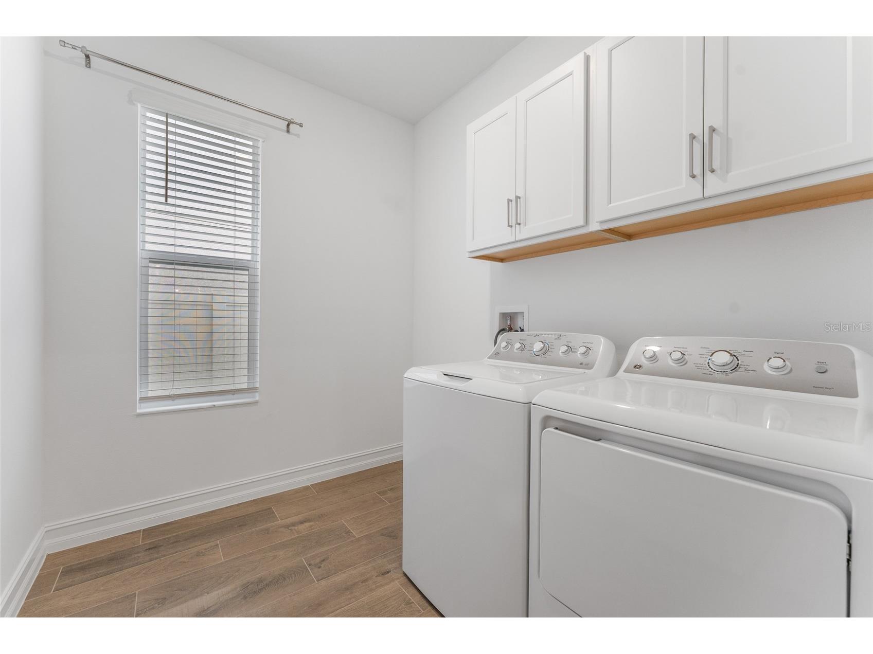 18255 Serene Lake Loop Lutz FL 33548 TB8505871 image31