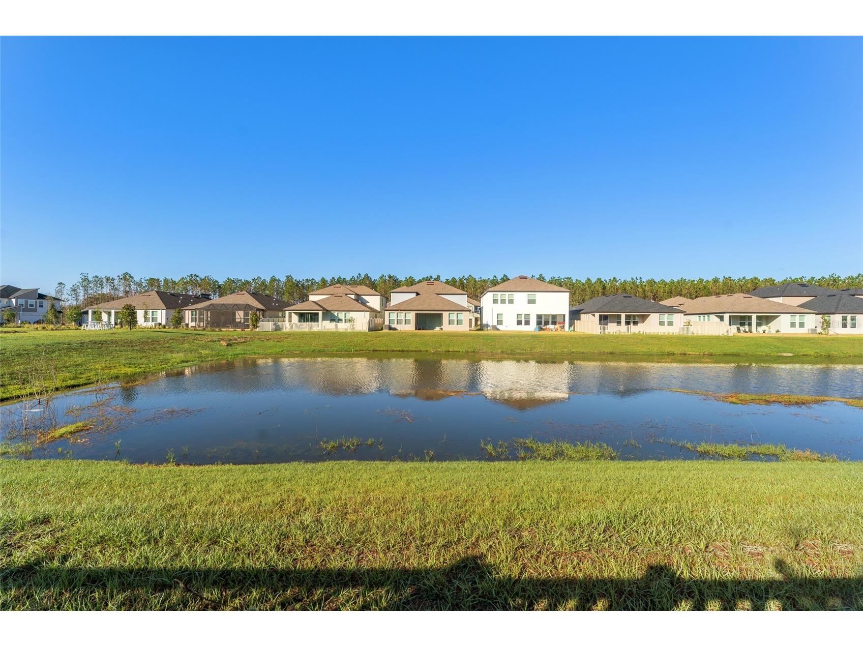 18255 Serene Lake Loop Lutz FL 33548 TB8505871 image35