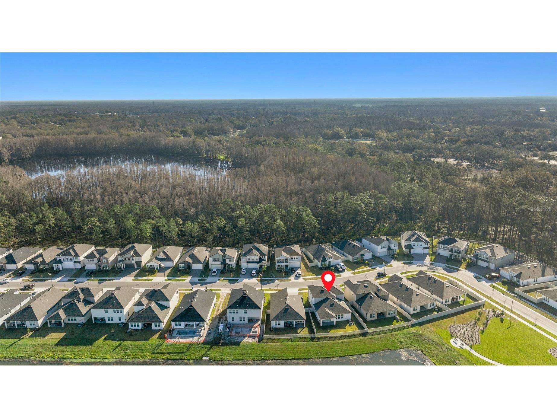 18255 Serene Lake Loop Lutz FL 33548 TB8505871 image40