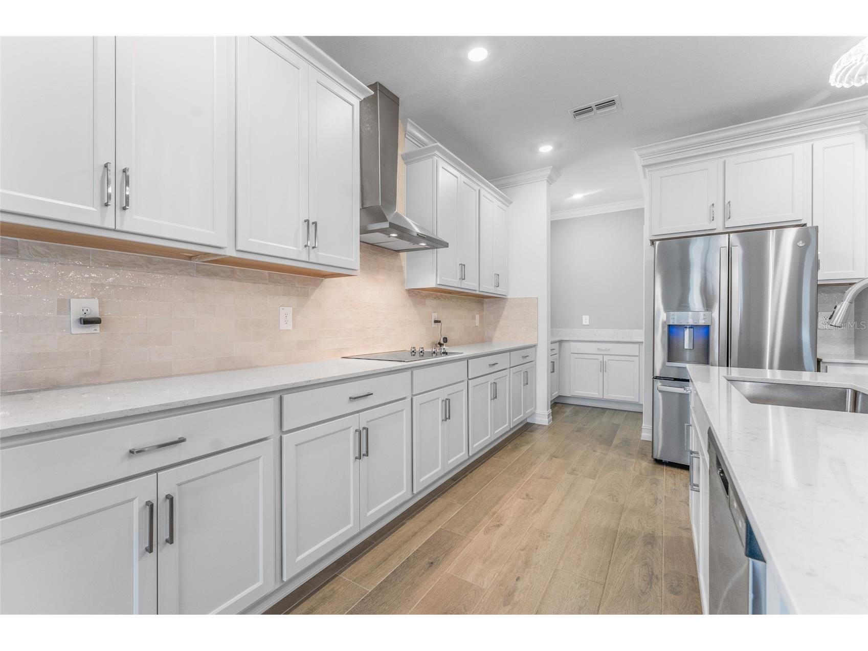 18255 Serene Lake Loop Lutz FL 33548 TB8505871 image9